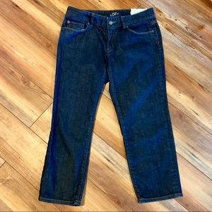 Ann Taylor Loft Modern Crop Jeans Size 6 / 28